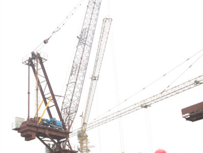 Luffing jib crane L85