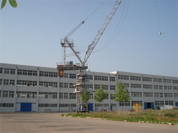 Luffing jib crane L220